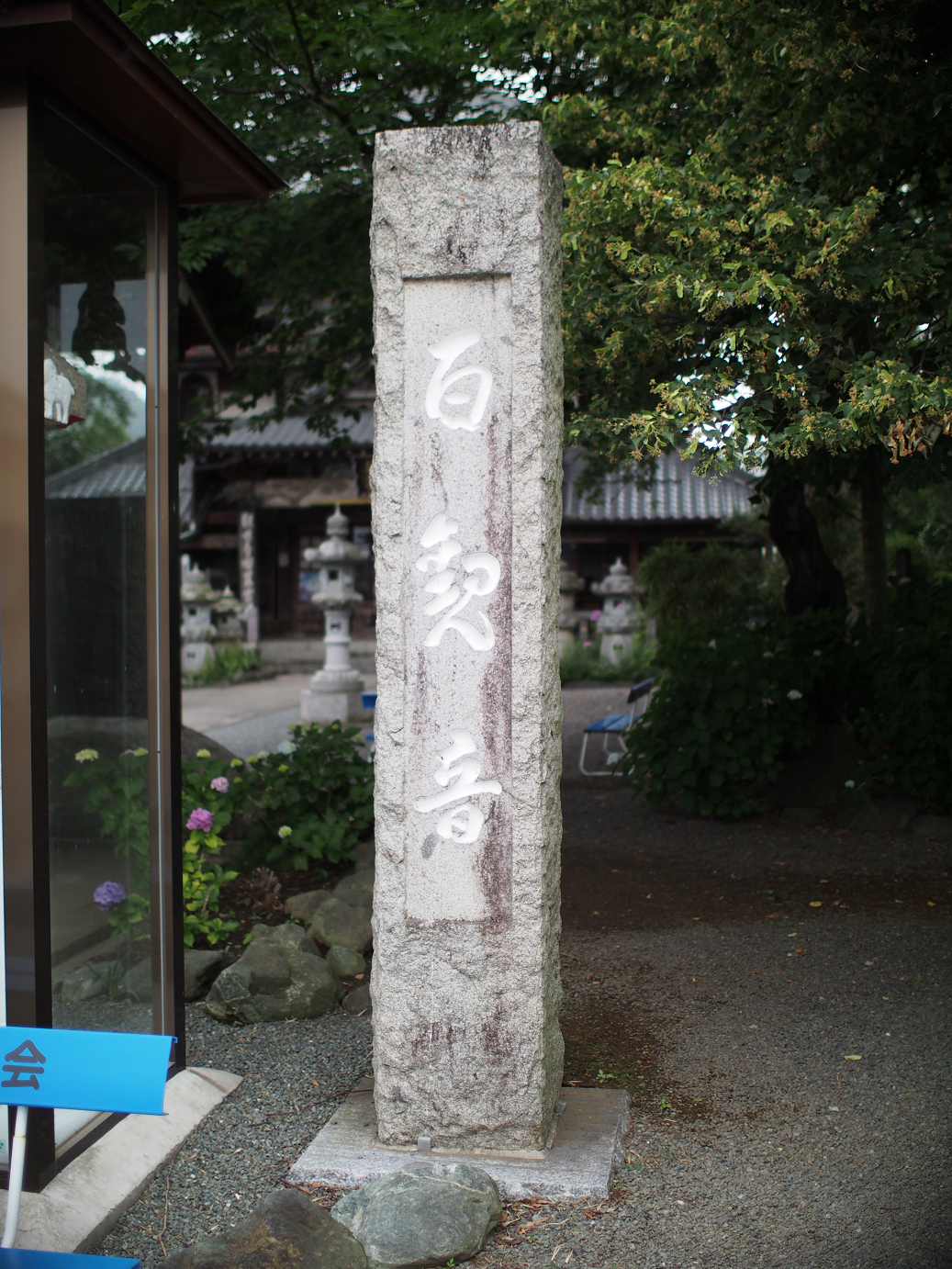 P6150006.jpg