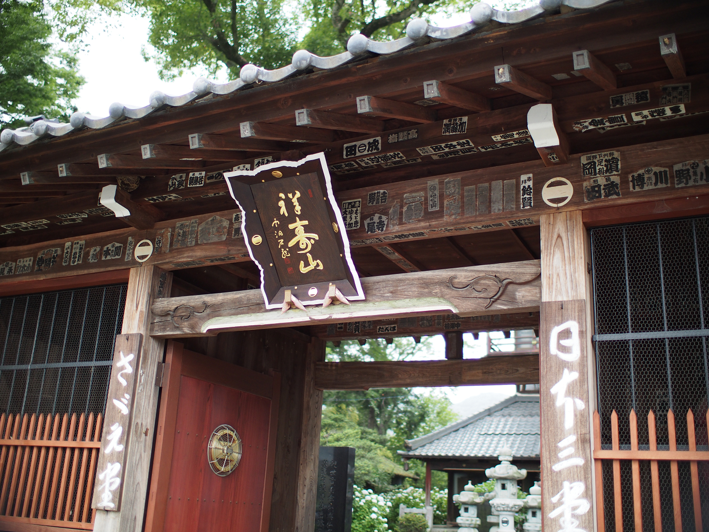 P6150007.jpg