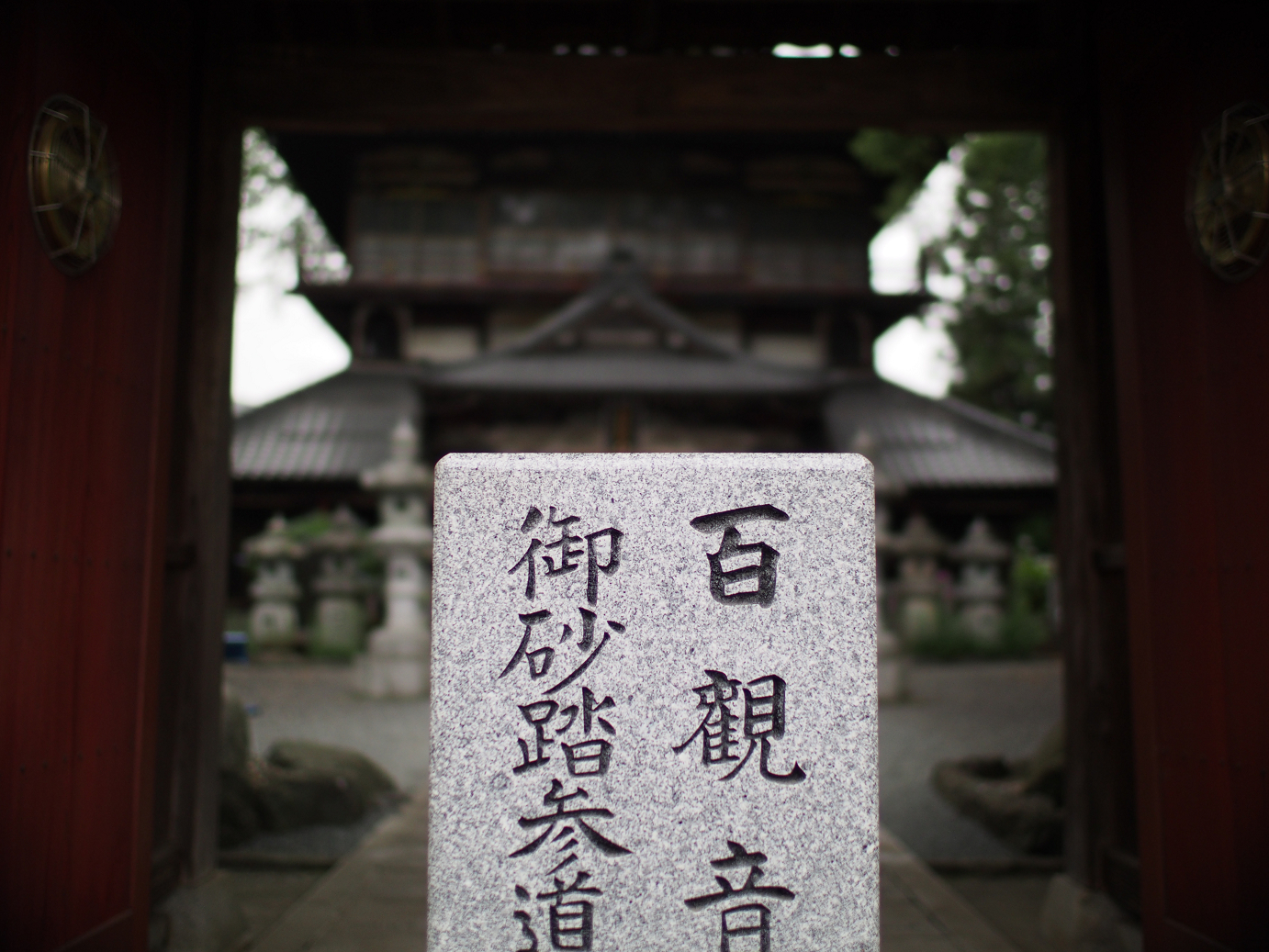 P6150008.jpg