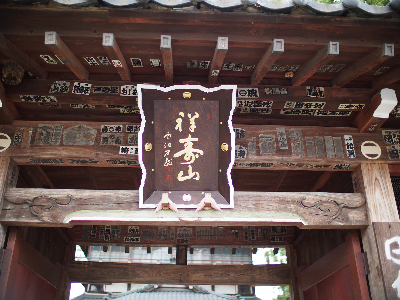 P6150010.jpg