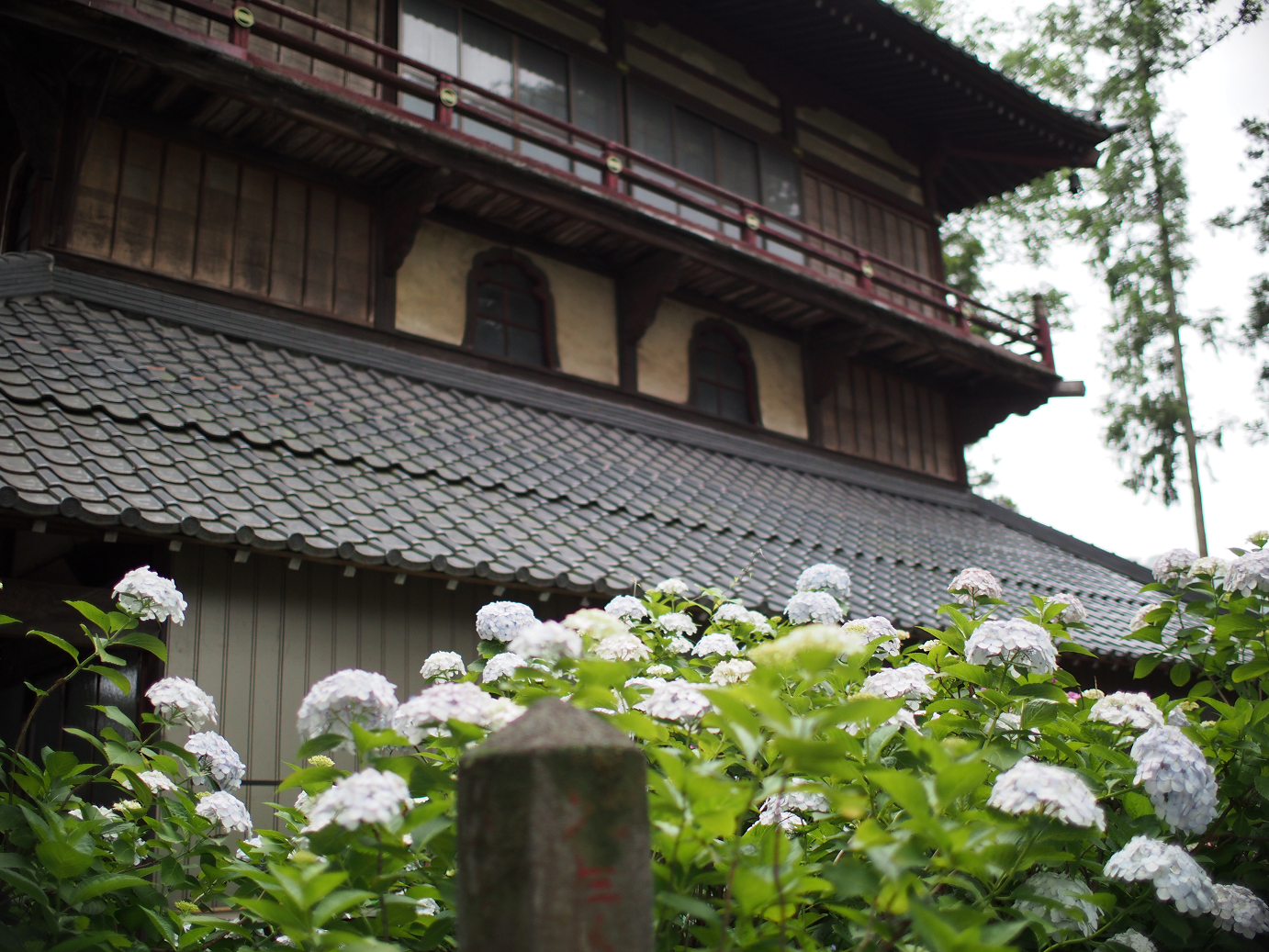 P6150042.jpg