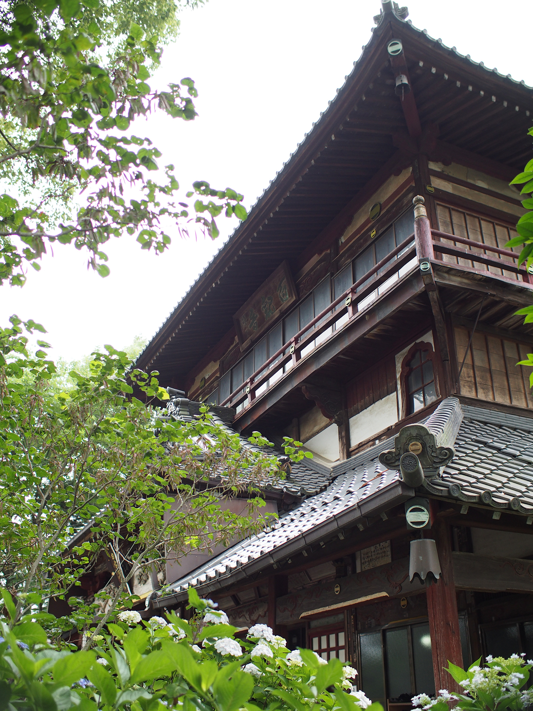 P6150046.jpg