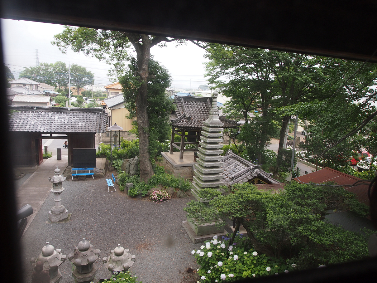 P6150104.jpg