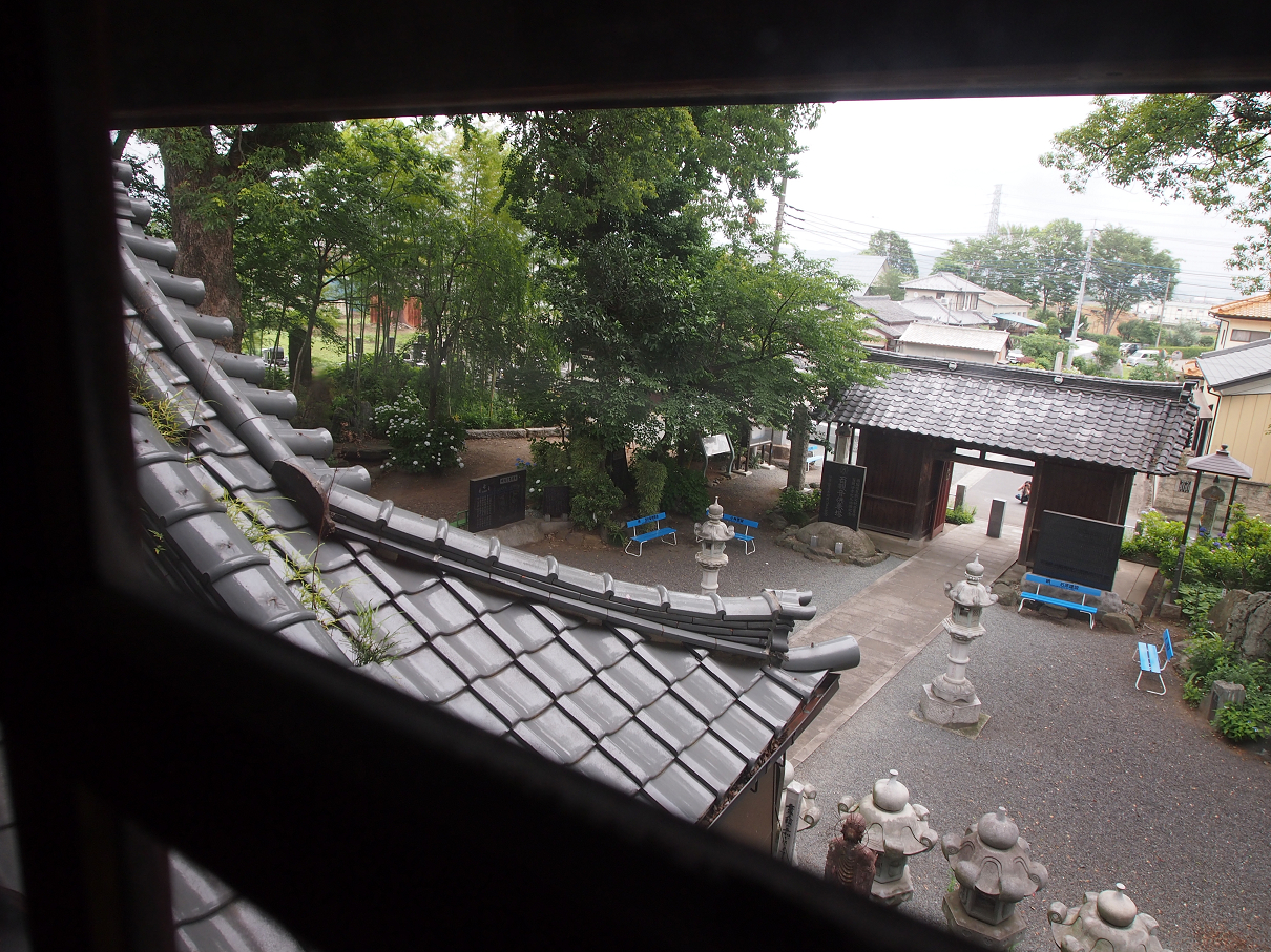 P6150105.jpg