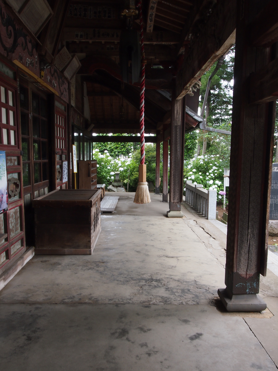P6150122.jpg