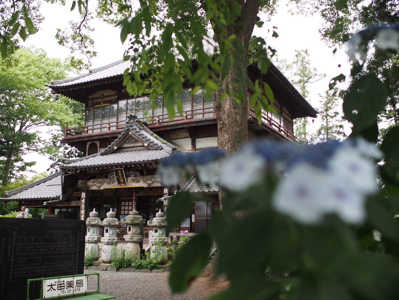 P6150159.jpg