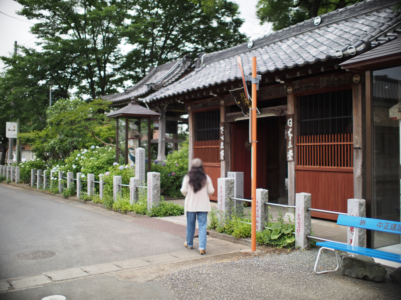 P6150160.jpg