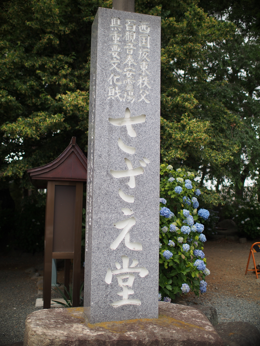 P6150161.jpg