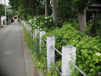 P6150166_thumb.png