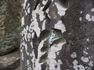 P6150192_thumb.png