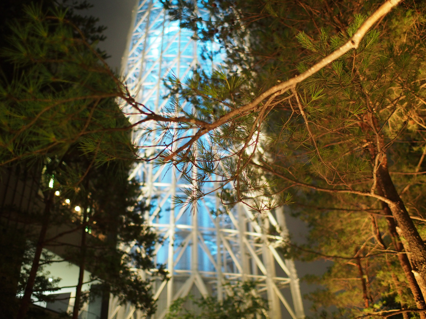 P6170335.jpg