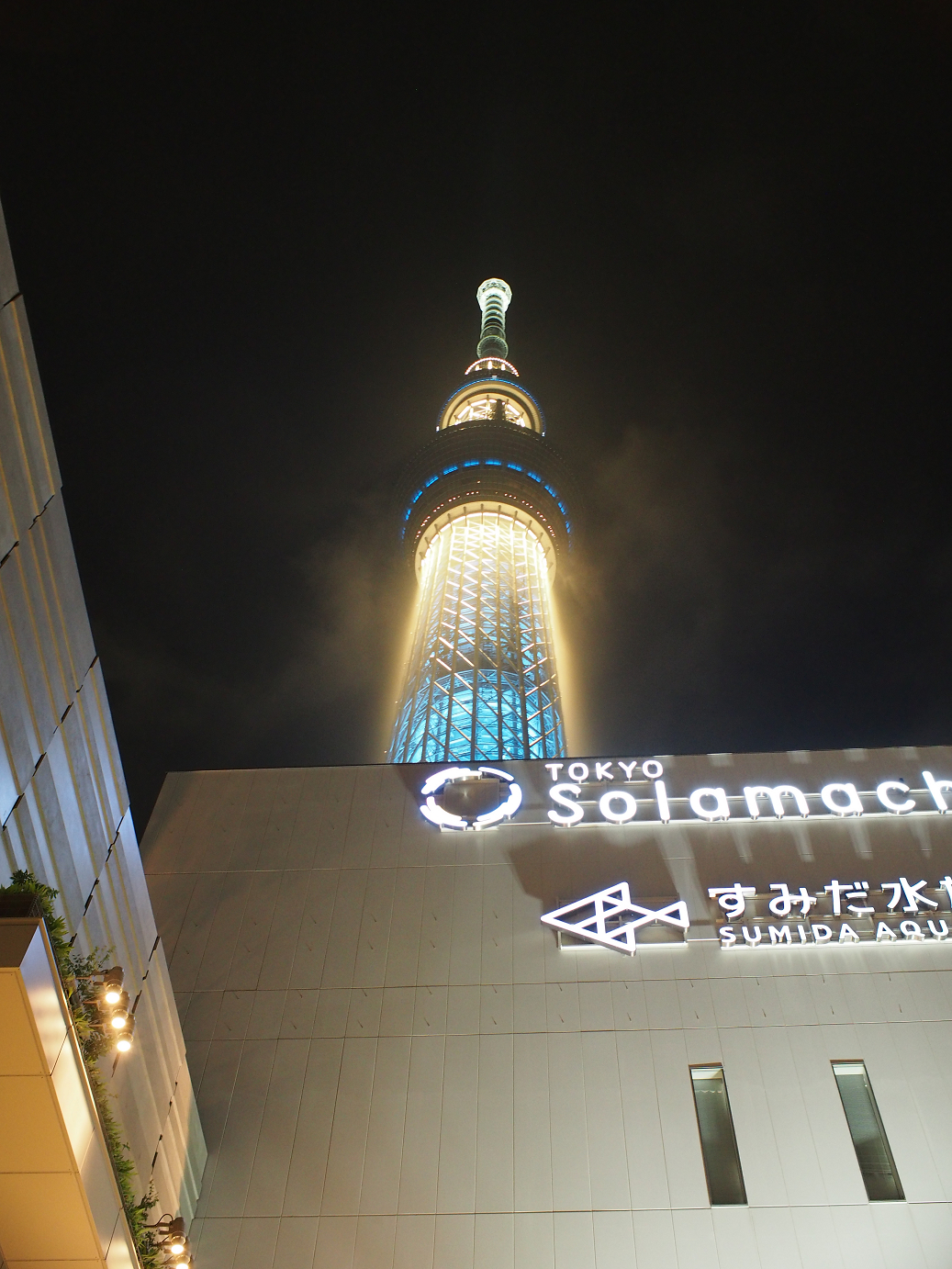 P6170360.jpg