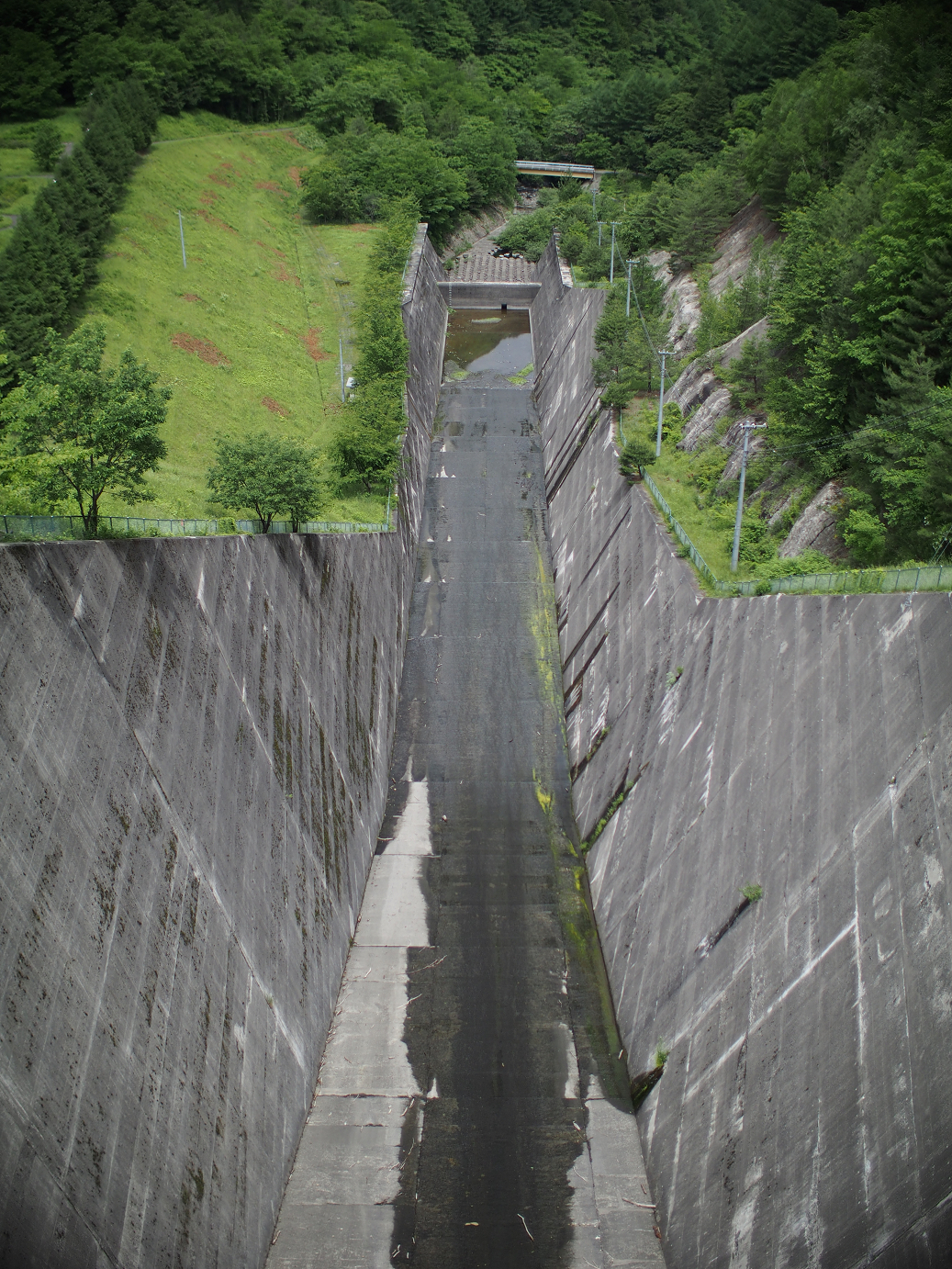 P6220100.jpg