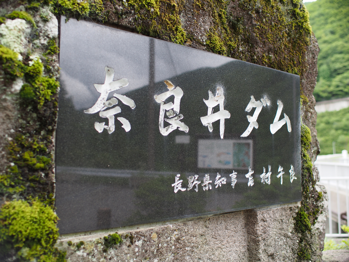 P6220110.jpg