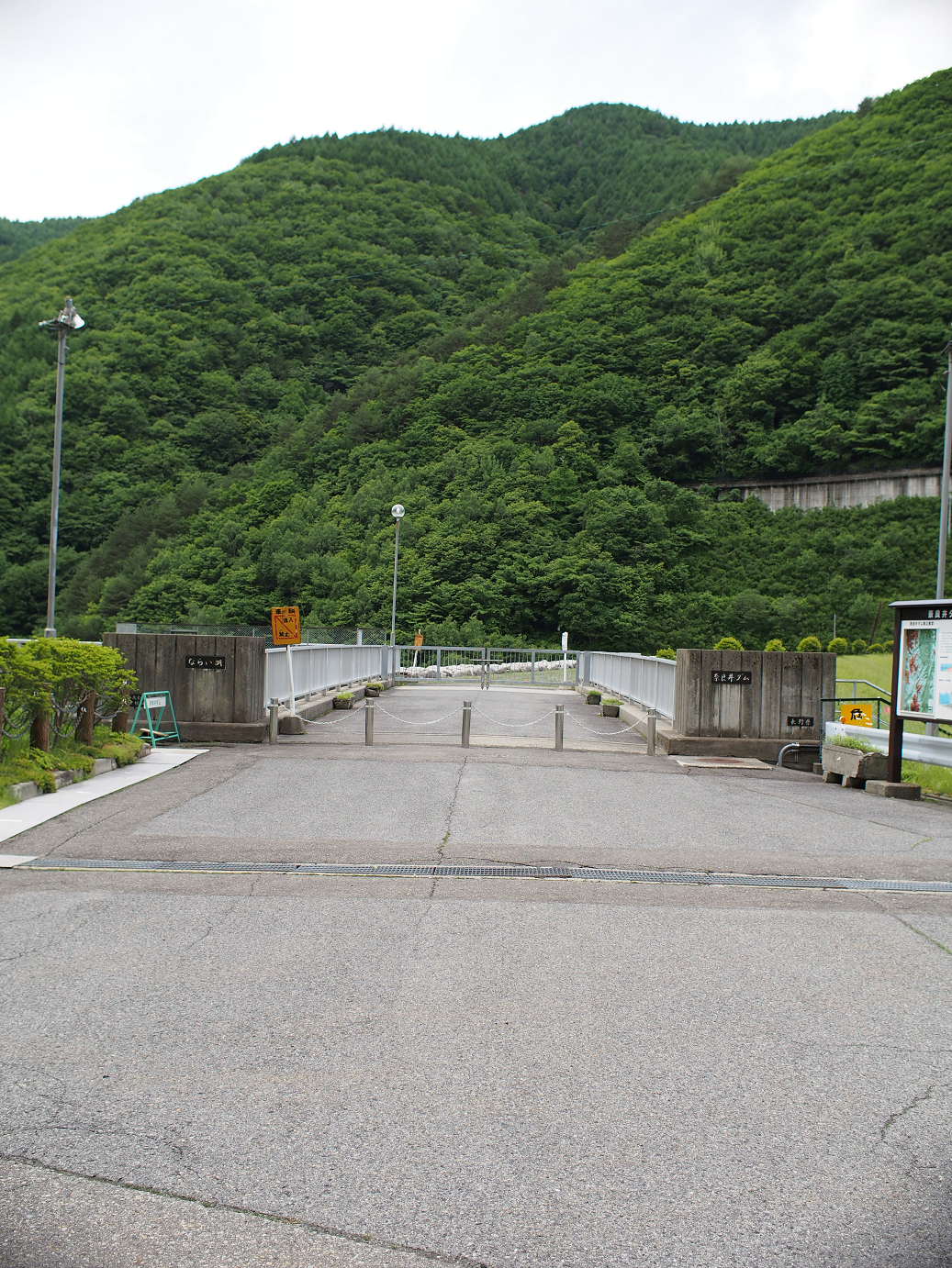 P6220116.jpg