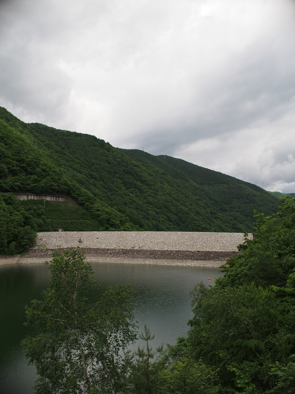 P6220123.jpg
