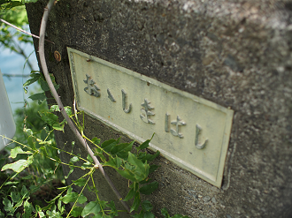 P6220133_thumb.png