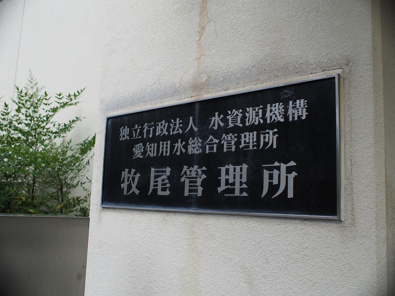 P6220210.jpg