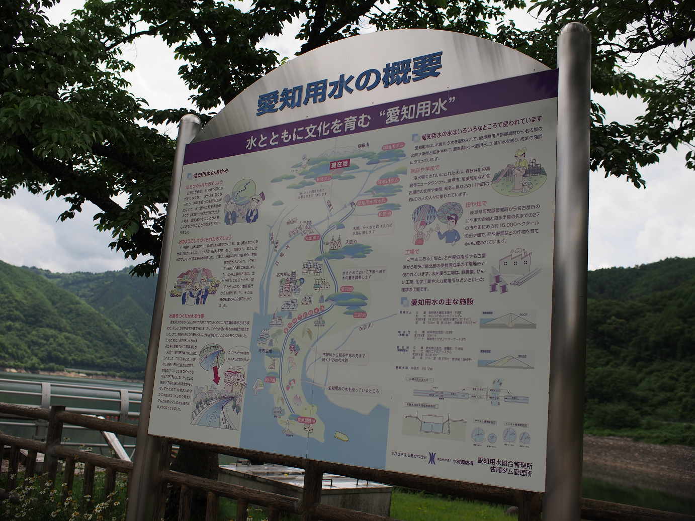 P6220222.jpg