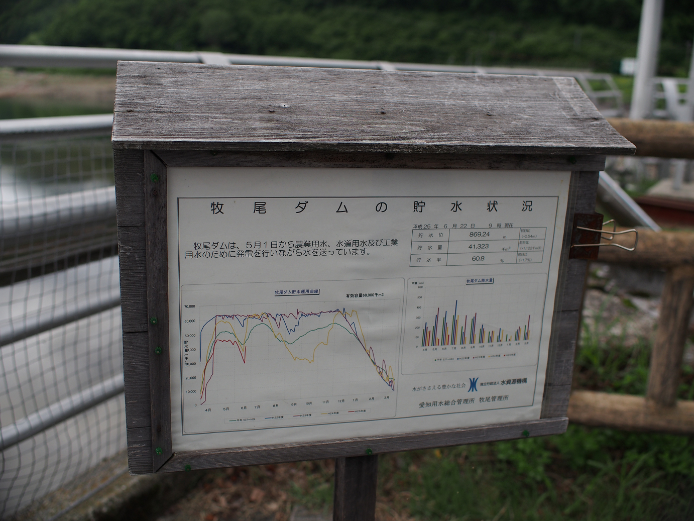 P6220225.jpg