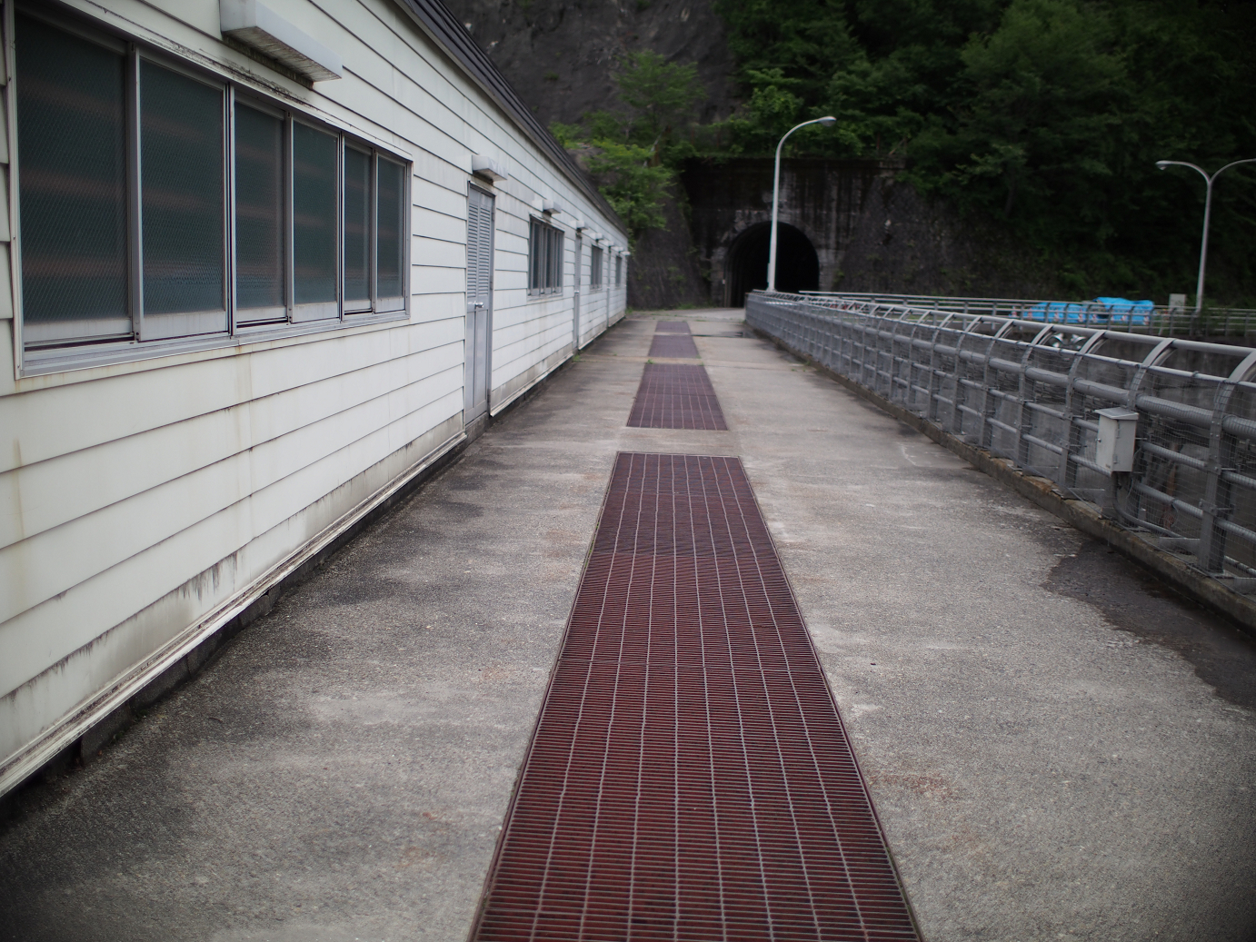 P6220238.jpg