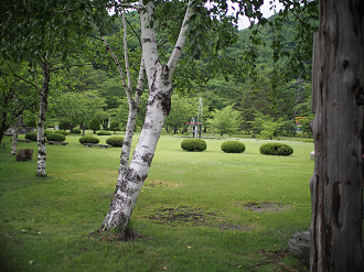 P6220246_thumb.png