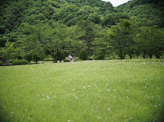 P6220248_thumb.png