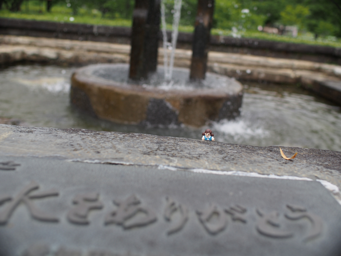 P6220257.jpg