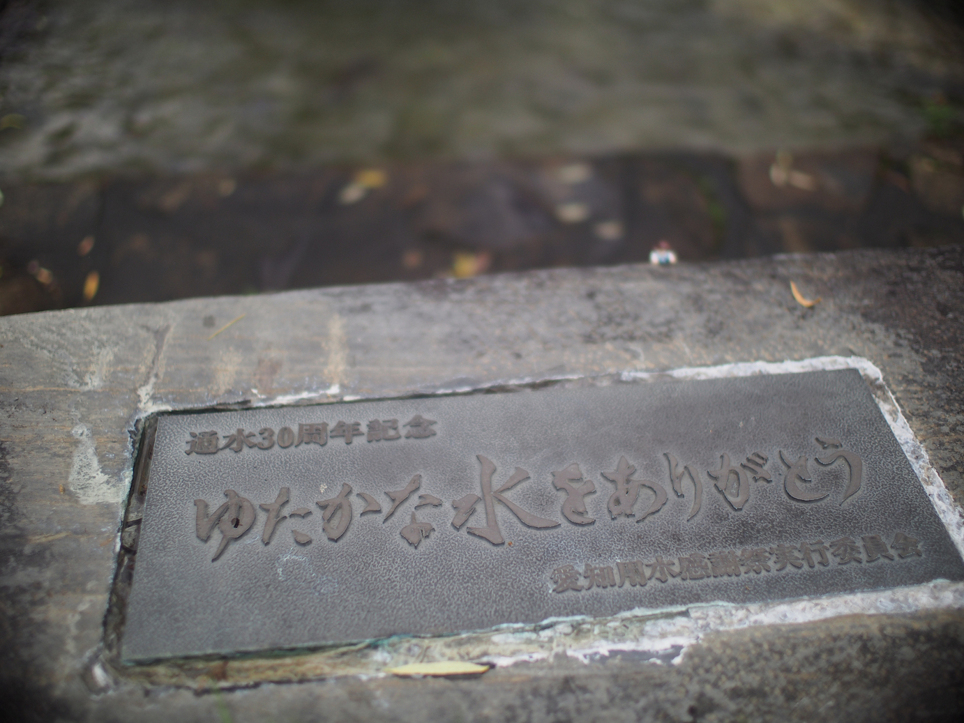 P6220259.jpg
