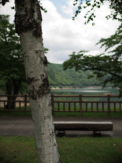 P6220268_thumb.png