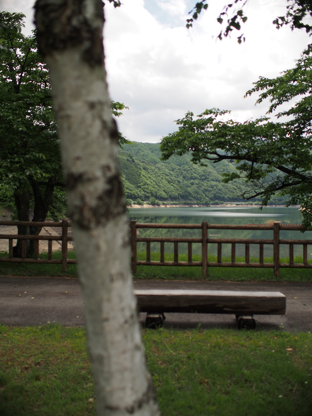 P6220269.jpg