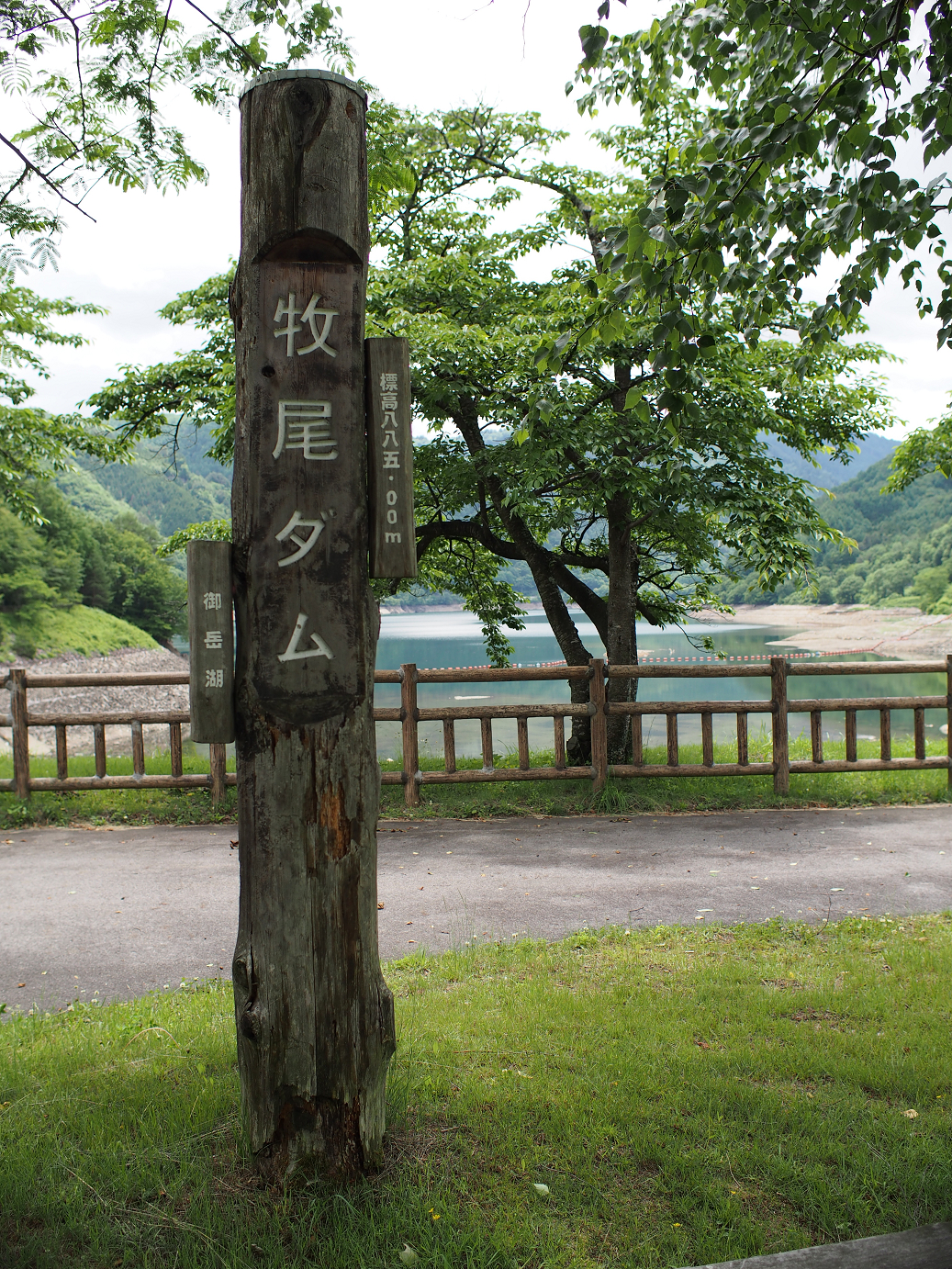 P6220273.jpg