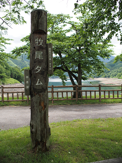 P6220273_thumb.png