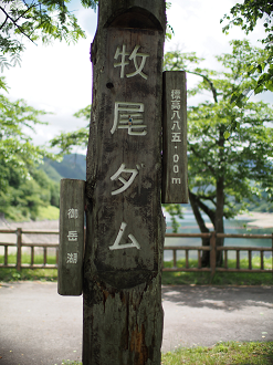 P6220274_thumb.png