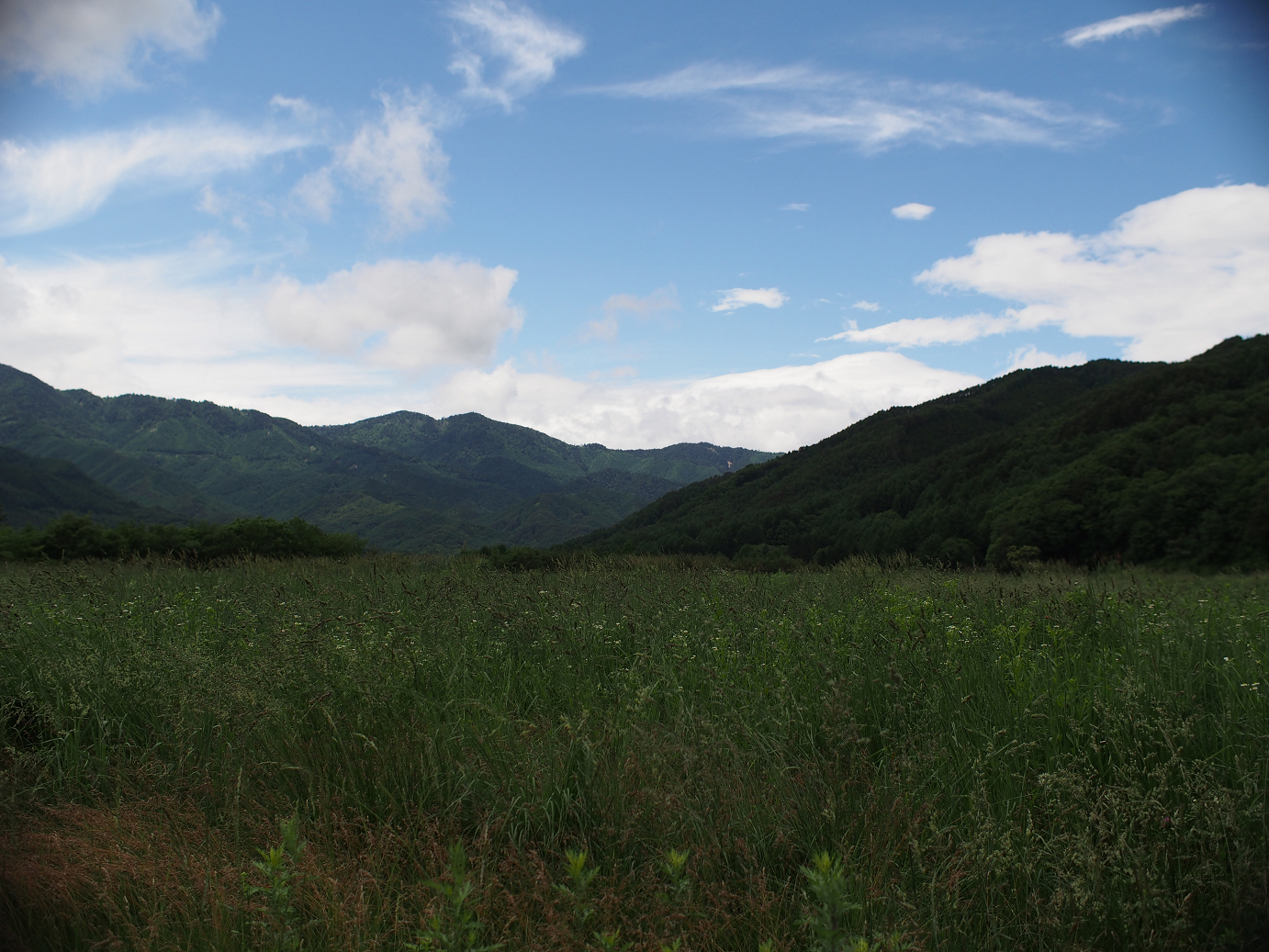 P6220310.jpg