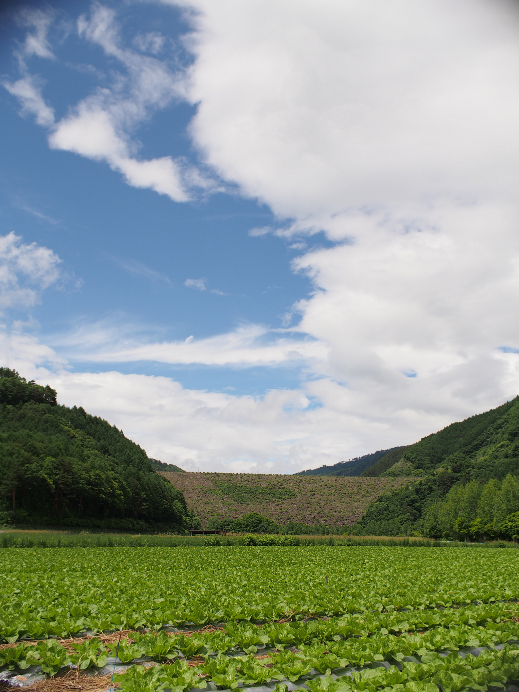 P6220313.jpg