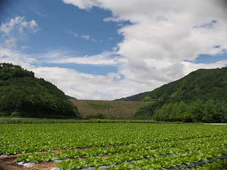 P6220314_thumb.png