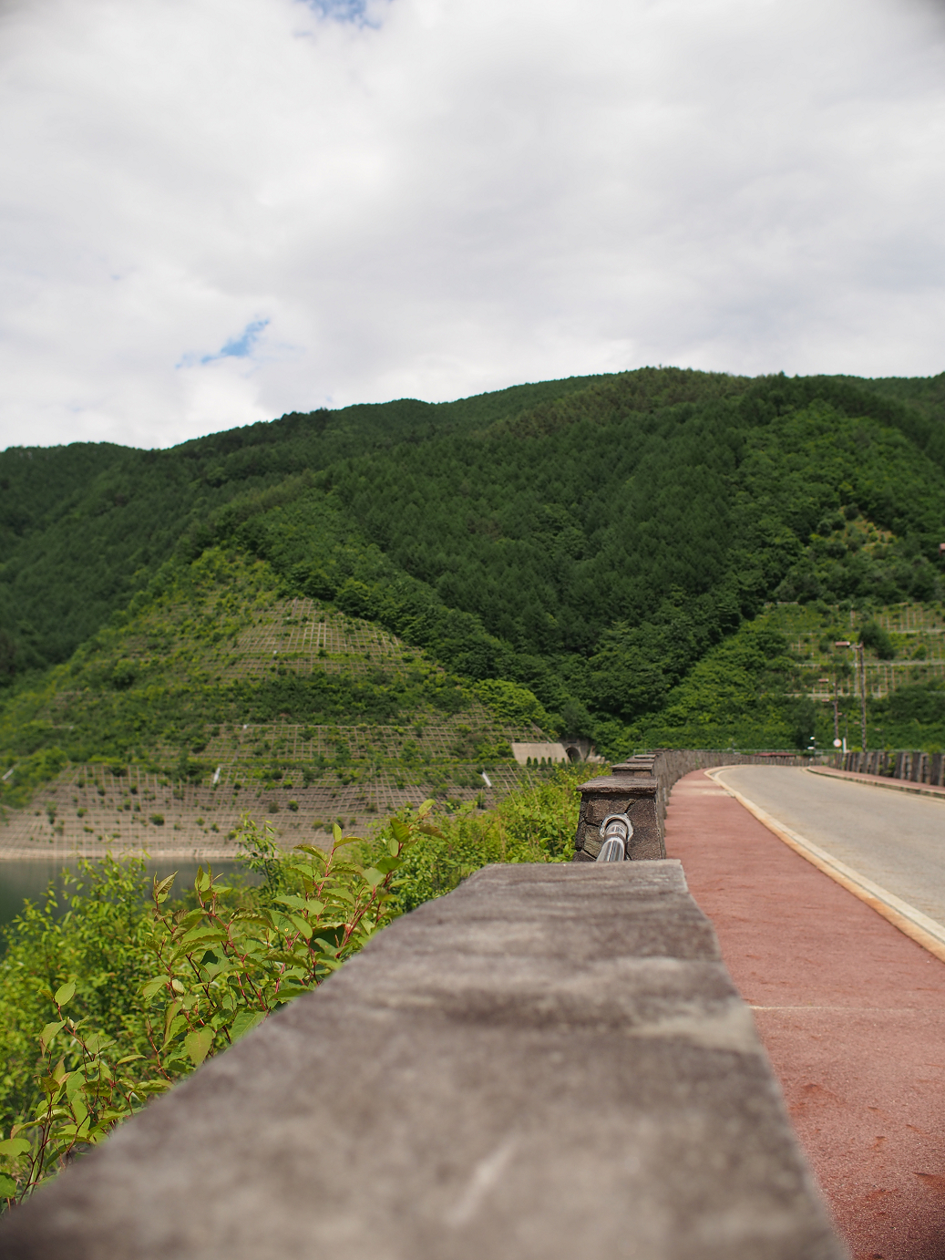 P6220343.jpg