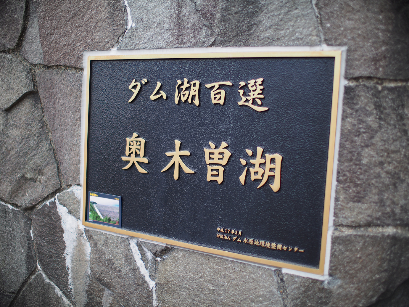 P6220379.jpg