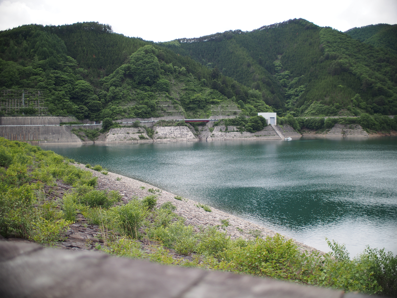 P6220383.jpg