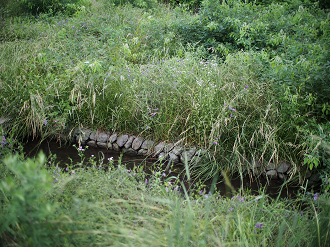 P6220420_thumb.png