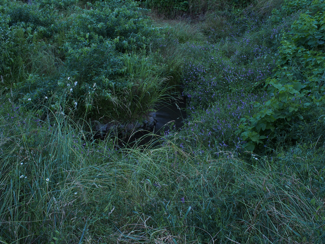 P6220435.jpg