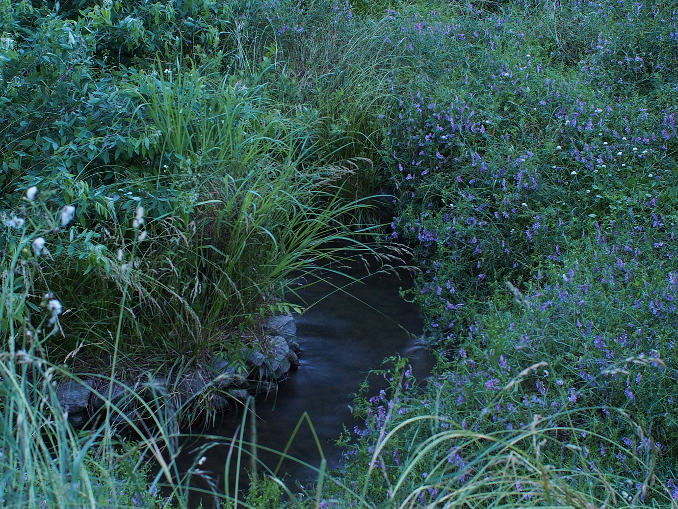 P6220437.jpg