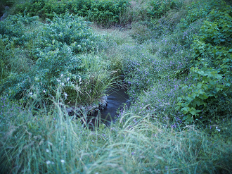 P6220440_thumb.png