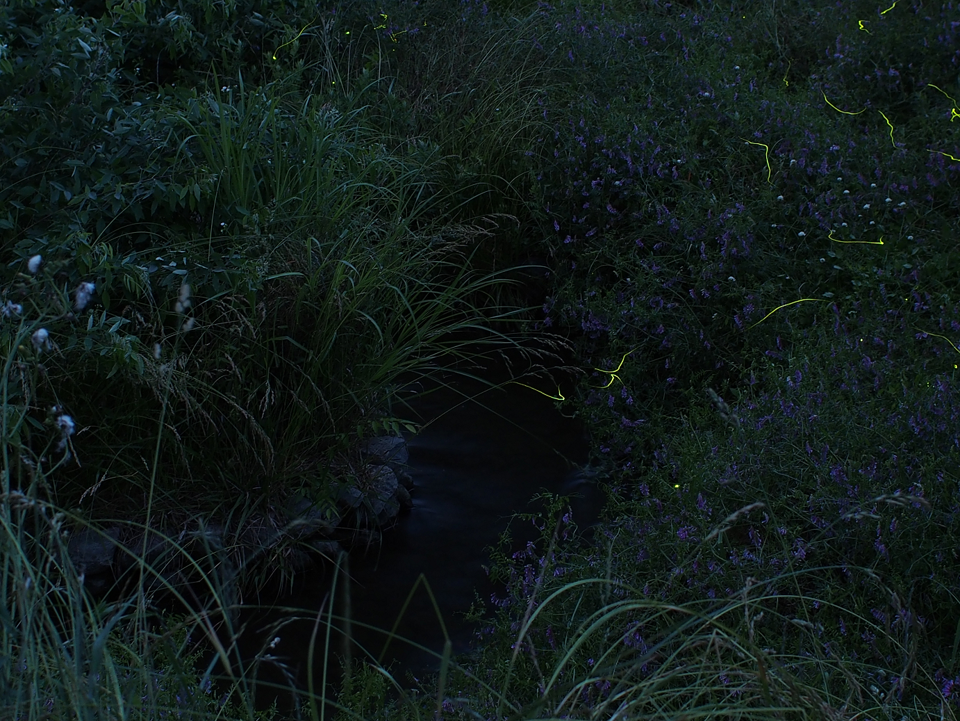 P6220446.jpg
