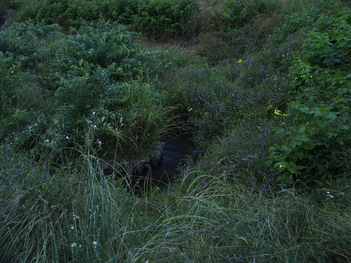 P6220450.jpg