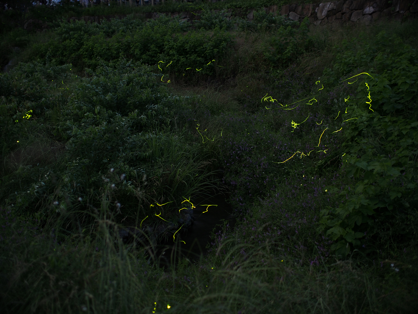 P6220457.jpg