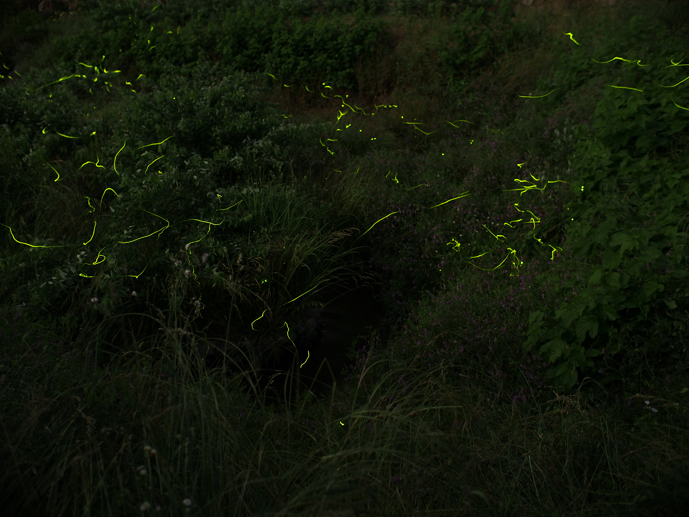 P6220465.jpg