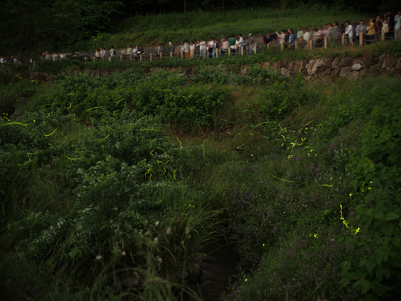 P6220483.jpg