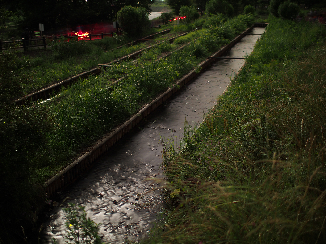P6220499.jpg